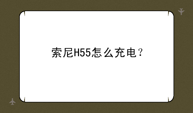 索尼H55怎么充电？