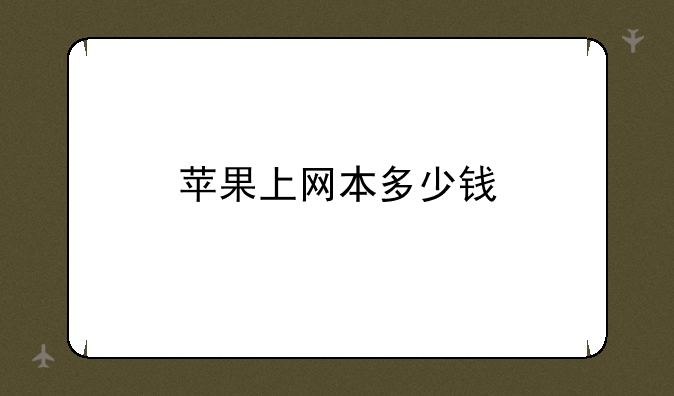 苹果上网本多少钱