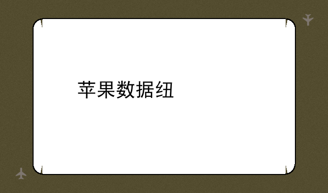 苹果数据线价格