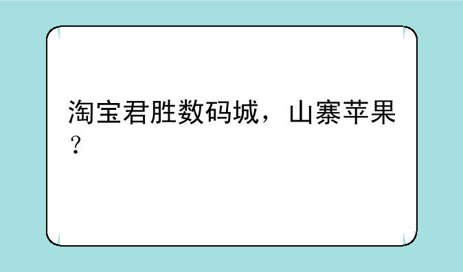 淘宝君胜数码城，山寨苹果？