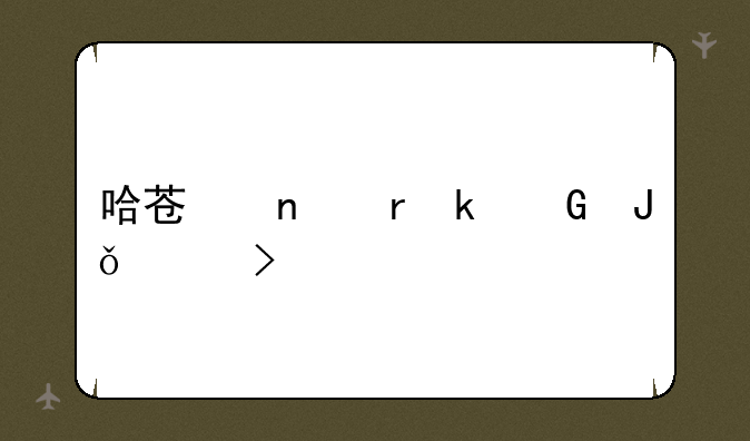 哈苏相机多少钱一台