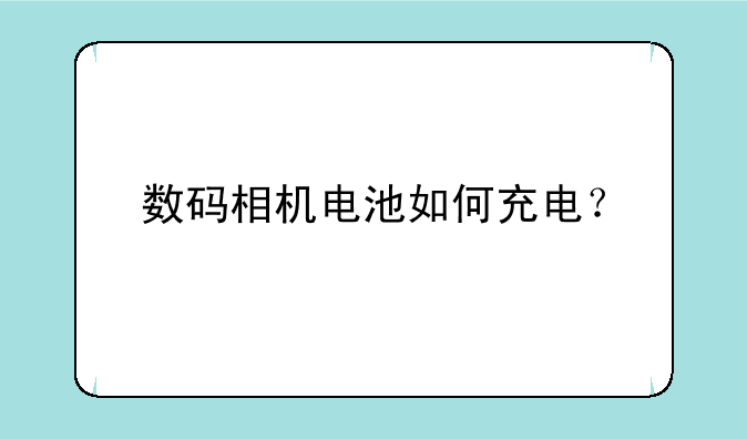 数码相机电池如何充电？