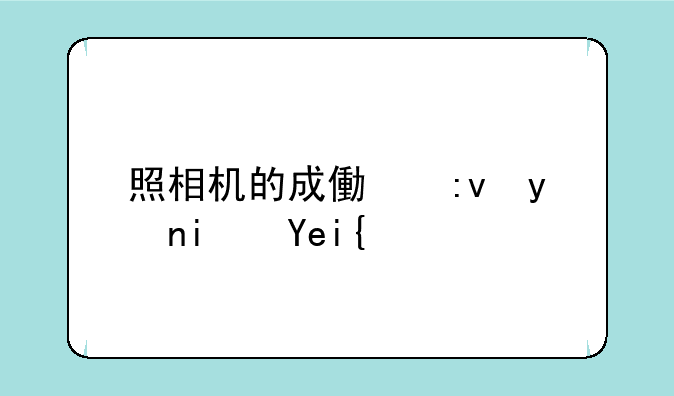 照相机的成像原理是啥？