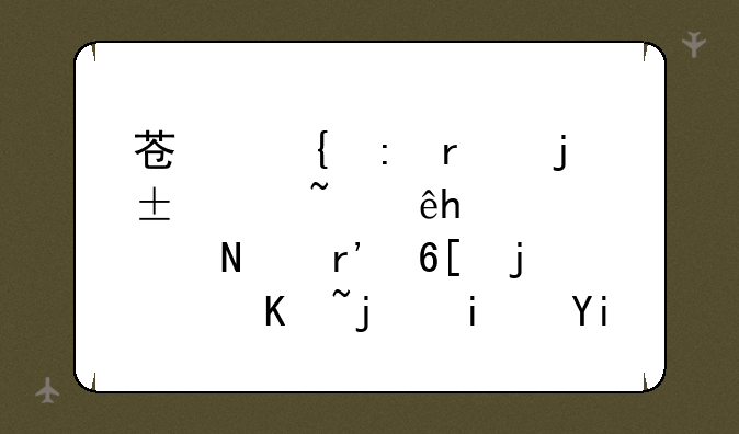 苏州现在的诺基亚6120Classic哪有卖的?价格是多少?(行货)