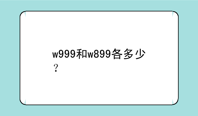 w999和w899各多少？