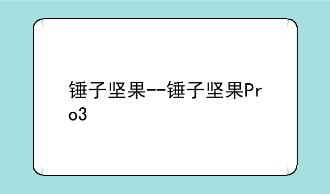 锤子坚果--锤子坚果Pro3