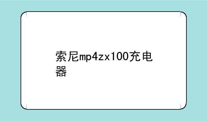 索尼mp4zx100充电器