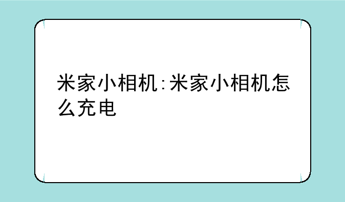 米家小相机:米家小相机怎么充电