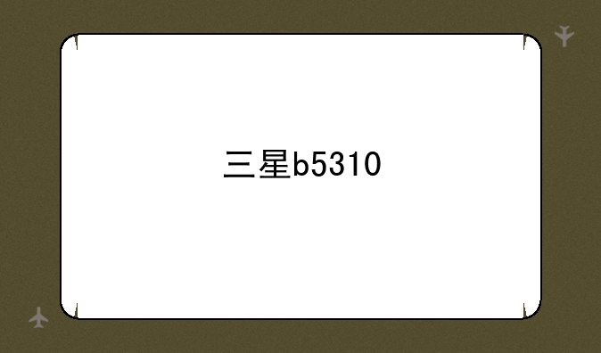 三星b5310