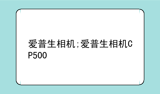 爱普生相机;爱普生相机CP500