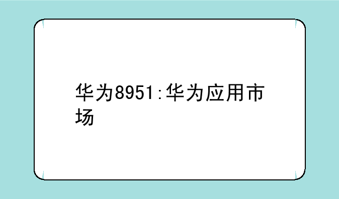 华为8951:华为应用市场