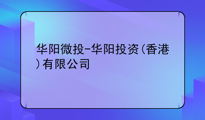 华阳微投-华阳投资(香港)有限公司